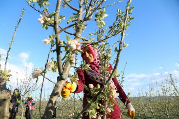 Foto - Köylüler bir araya geldiler ve işsizliği çözdüler