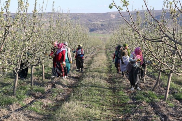 Foto - Köylüler bir araya geldiler ve işsizliği çözdüler