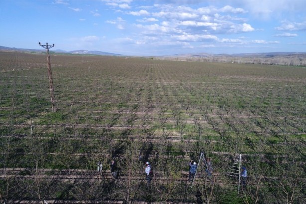 Foto - Köylüler bir araya geldiler ve işsizliği çözdüler