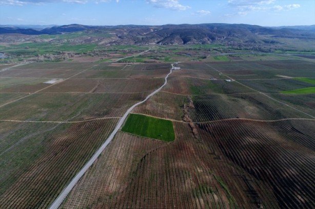 Foto - Köylüler bir araya geldiler ve işsizliği çözdüler