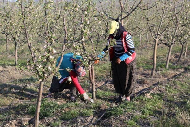 Foto - Köylüler bir araya geldiler ve işsizliği çözdüler