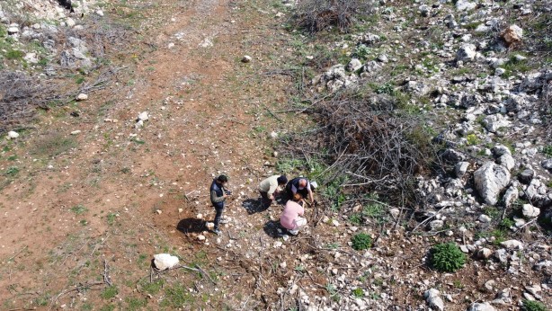 Köylüler her yerde onu arıyor! 5 gram altın değerinde, bulan zengin oluyor