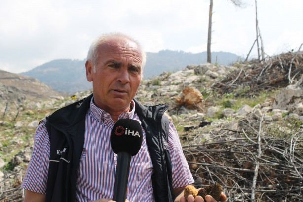 Foto - Köylüler her yerde onu arıyor! 5 gram altın değerinde, bulan zengin oluyor