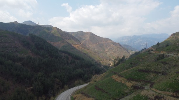 Foto - Köylüler her yerde onu arıyor! 5 gram altın değerinde, bulan zengin oluyor