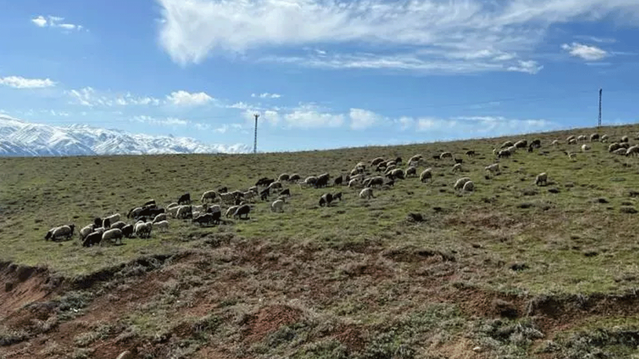 Foto - Köylüler ne yapacaklarını şaşırdı: Tamı tamına 70 bin lira!