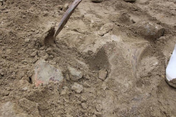 Foto - Köylüler su ararken mamut yada file ait olduğu düşünülen taşlar buldular!