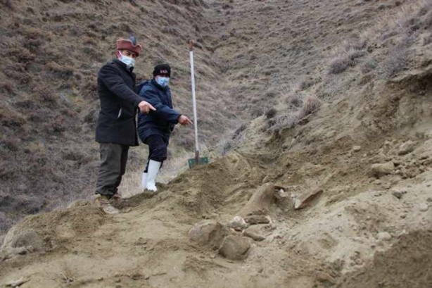 Foto - Köylüler su ararken mamut yada file ait olduğu düşünülen taşlar buldular!