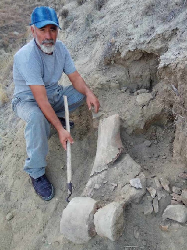 Foto - Köylüler su ararken mamut yada file ait olduğu düşünülen taşlar buldular!