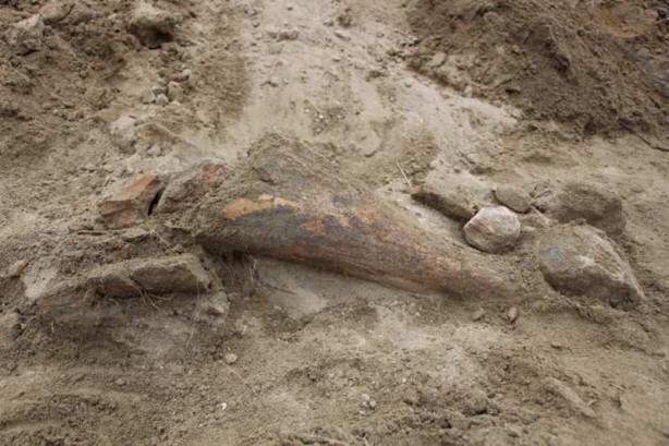 Foto - Köylüler su ararken mamut yada file ait olduğu düşünülen taşlar buldular!