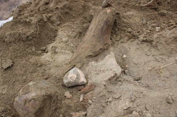 Foto - Köylüler su ararken mamut yada file ait olduğu düşünülen taşlar buldular!