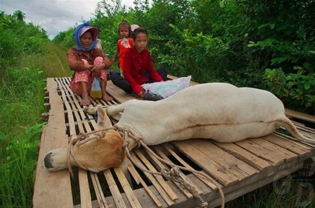 Foto - Köylülerden müthiş buluş! 