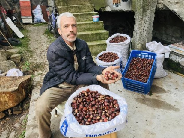 Foto - Köylülerin gelir kapısı oldu, Kazdağları'nda yetişiyor! Günlük 250 lira kazanan var