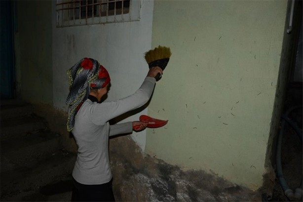 Foto - Köyü istila ettiler!