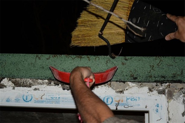 Foto - Köyü istila ettiler!