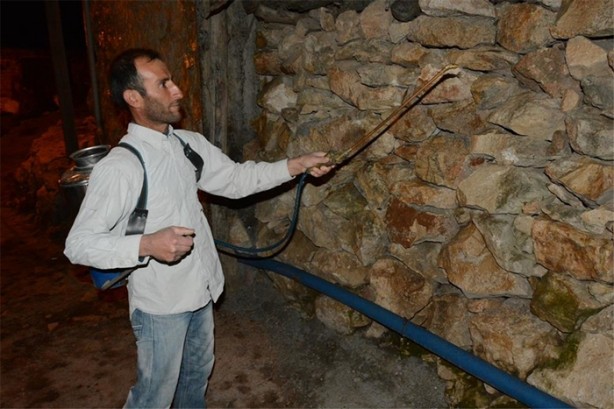 Foto - Köyü istila ettiler!