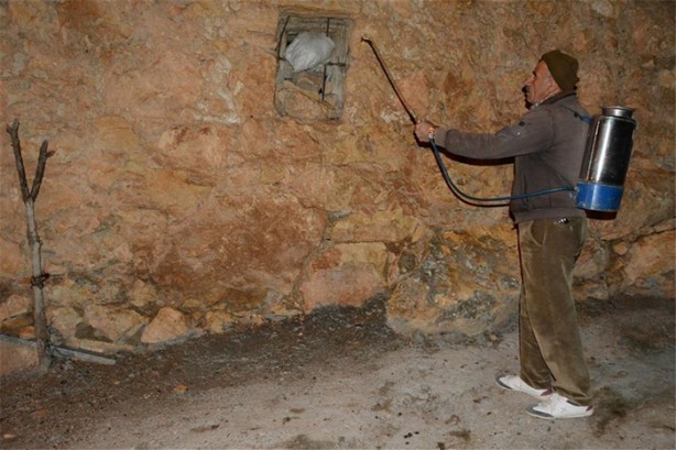 Foto - Köyü istila ettiler!