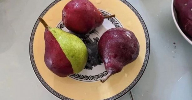 Foto - Köyün bahçesine armut toplamaya gitmişti! Gördüğü manzara karşısında hayatının şokunu yaşadı! Dünyayı hayrete düşüren olay