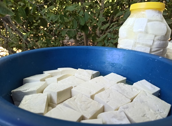 Köyünde üretiyor! Kilosunu 250 TL'ye satıyor