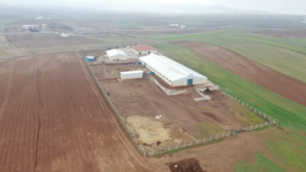 Foto - Köyüne dönüp devlet desteği aldı, koyun sayısını 5 katına çıkardı