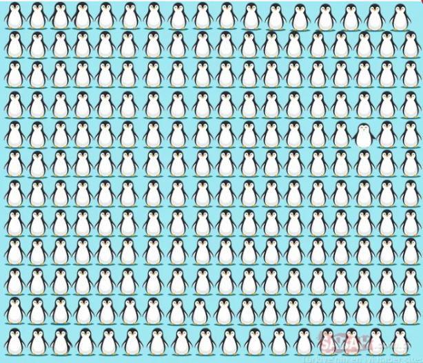 Foto - Koyunların içindeki kurdu fark ettiniz mi? Binlerce kişiden sadece 32 kişi ilk bakışta görüyor