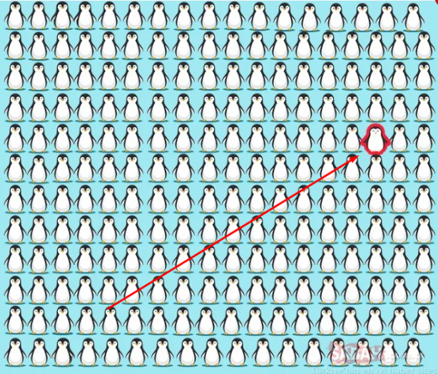 Foto - Koyunların içindeki kurdu fark ettiniz mi? Binlerce kişiden sadece 32 kişi ilk bakışta görüyor