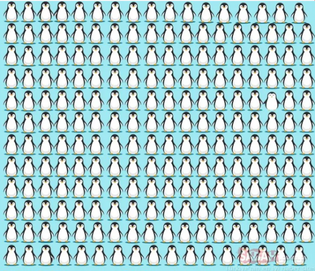 Foto - Koyunların içindeki kurdu fark ettiniz mi? Binlerce kişiden sadece 32 kişi ilk bakışta görüyor