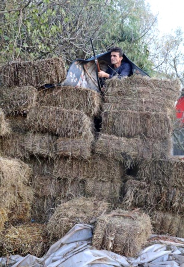 Foto - Koyunlarını paramparça edeni bulmak için eli tetikte bekliyor