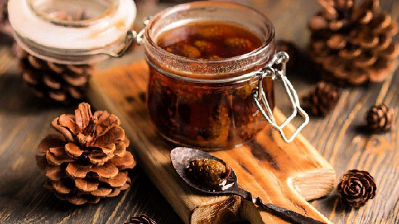 Kozalak reçelin faydaları nelerdir? Kaynatılmış kozalak suyunun faydaları? 1 bardak için...