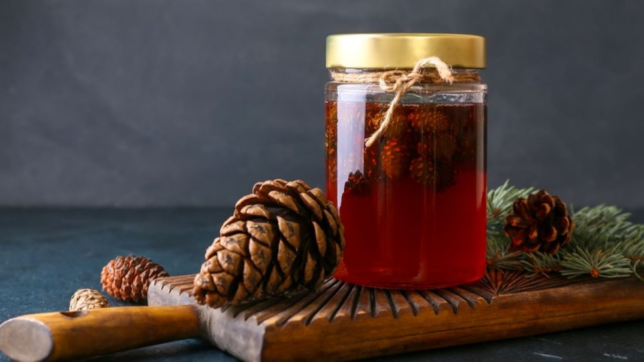 Foto - Kozalak reçelin faydaları nelerdir? Kaynatılmış kozalak suyunun faydaları? 1 bardak için...