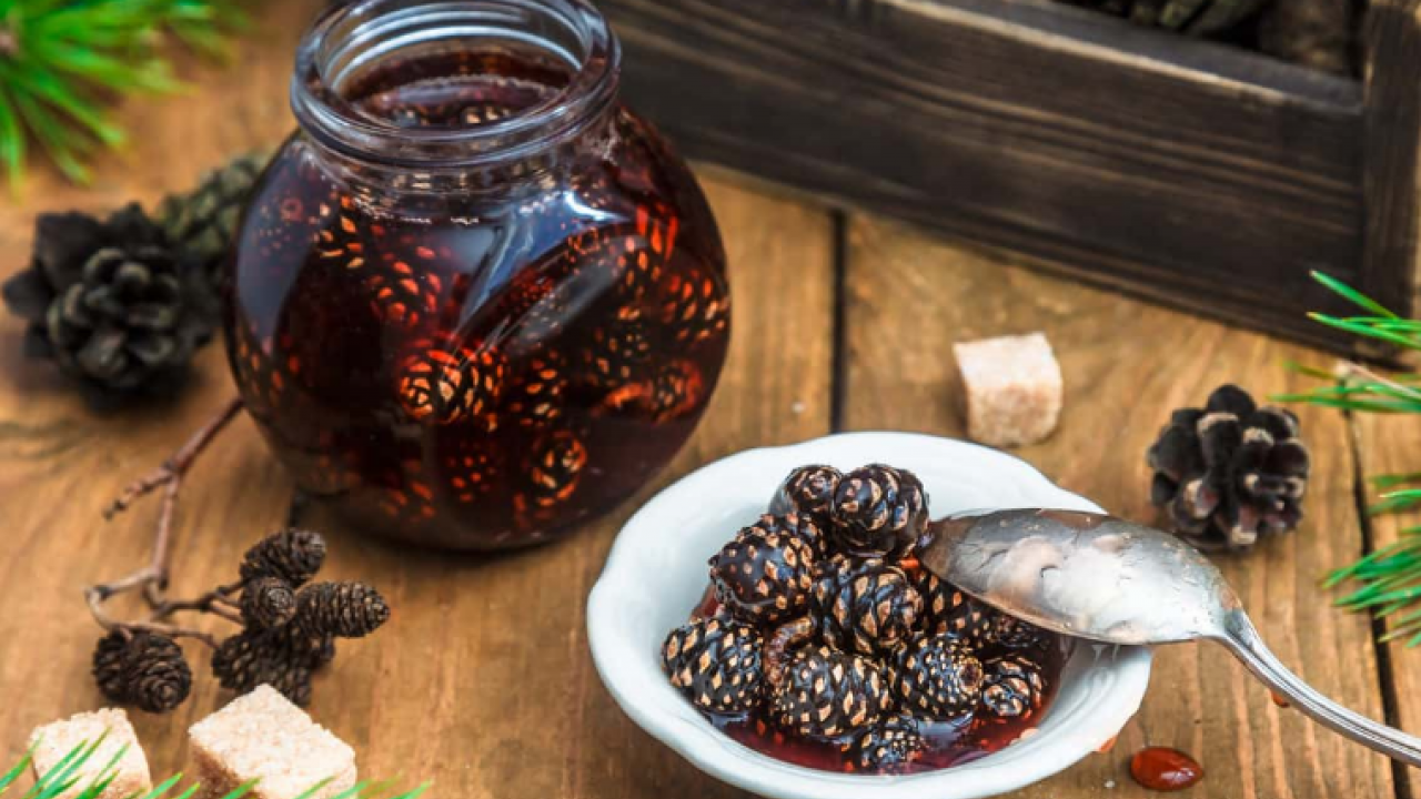 Foto - Kozalak reçelin faydaları nelerdir? Kaynatılmış kozalak suyunun faydaları? 1 bardak için...