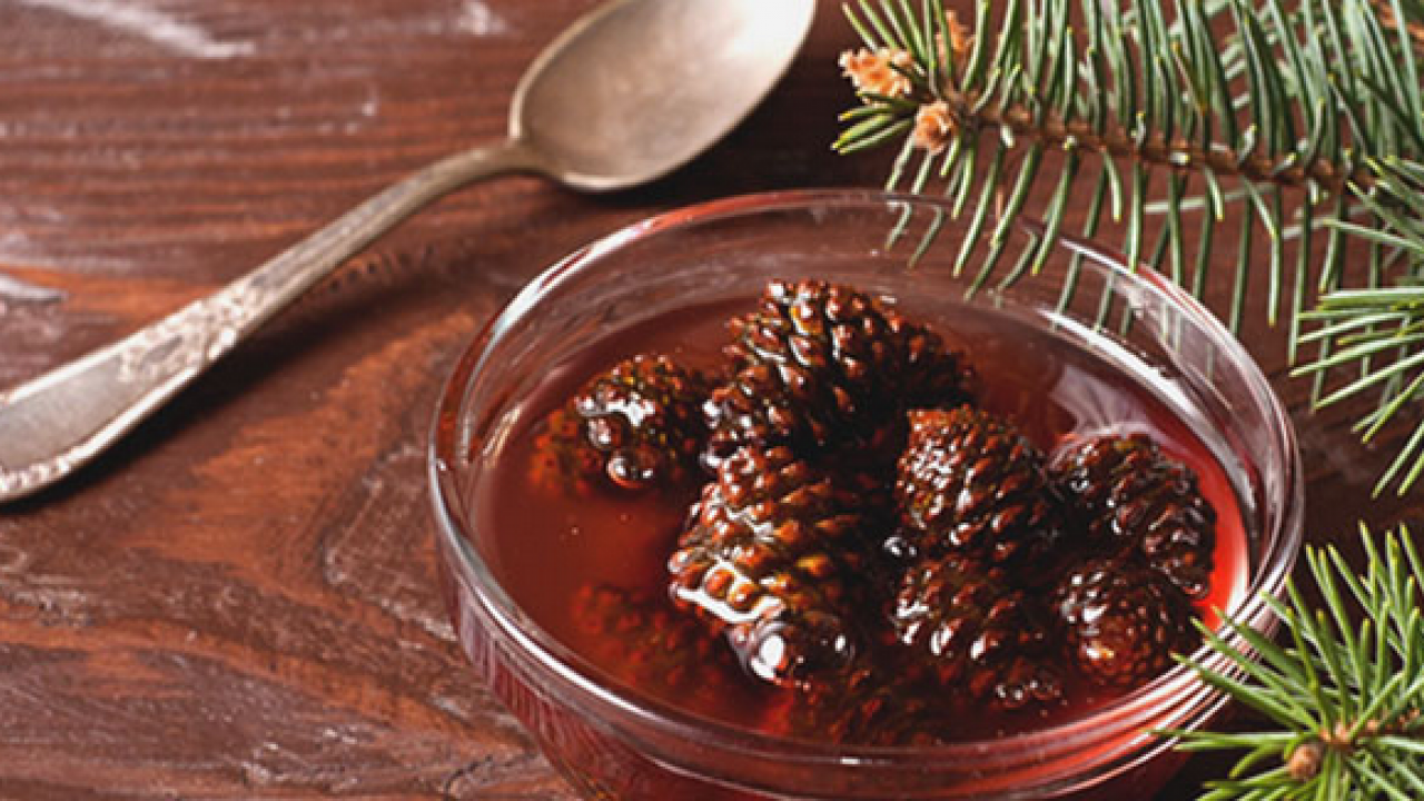 Foto - Kozalak reçelin faydaları nelerdir? Kaynatılmış kozalak suyunun faydaları? 1 bardak için...