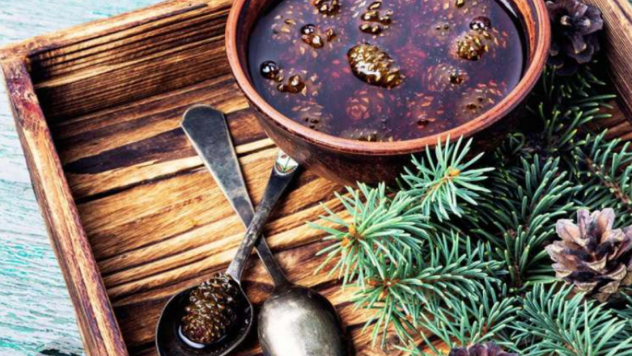 Foto - Kozalak reçelin faydaları nelerdir? Kaynatılmış kozalak suyunun faydaları? 1 bardak için...