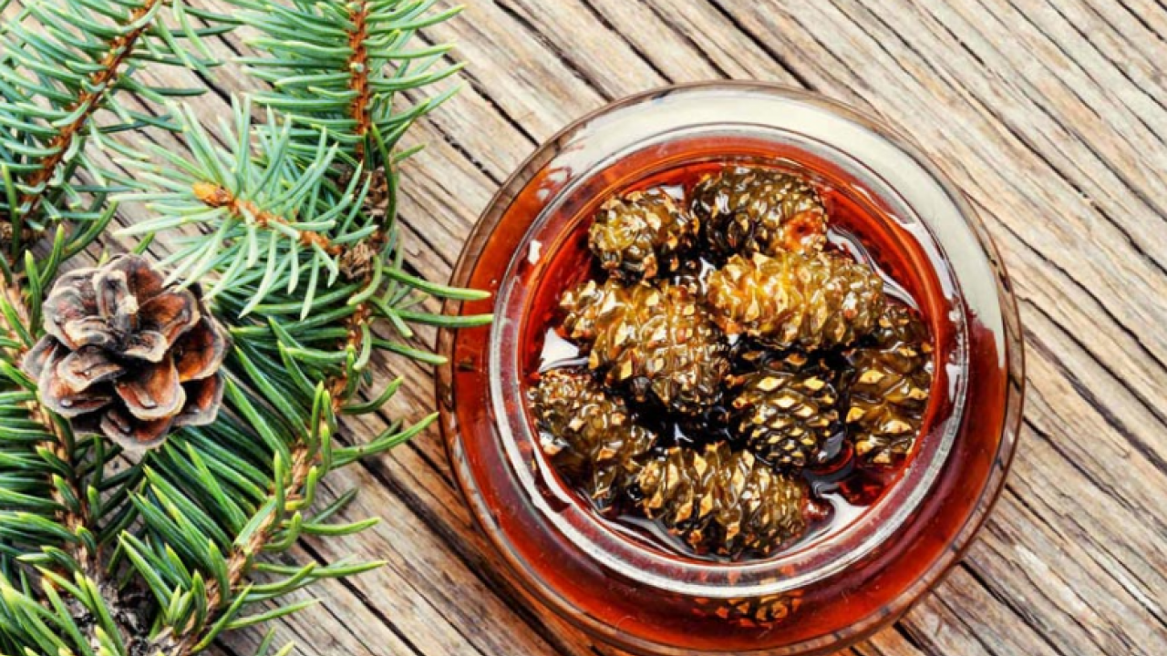 Foto - Kozalak reçelin faydaları nelerdir? Kaynatılmış kozalak suyunun faydaları? 1 bardak için...