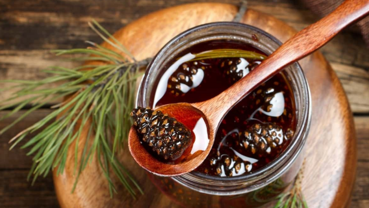 Foto - Kozalak reçelin faydaları nelerdir? Kaynatılmış kozalak suyunun faydaları? 1 bardak için...