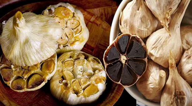 Foto - Közlenmiş sarımsağın bu etkisini kimse bilmiyor! Kilo vermek isteyenler için…