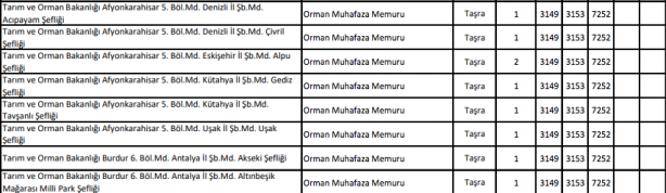 Foto - KPSS kamu memur alımı pozisyon, branşları! Sözleşmeli personel alımı hangi illerde