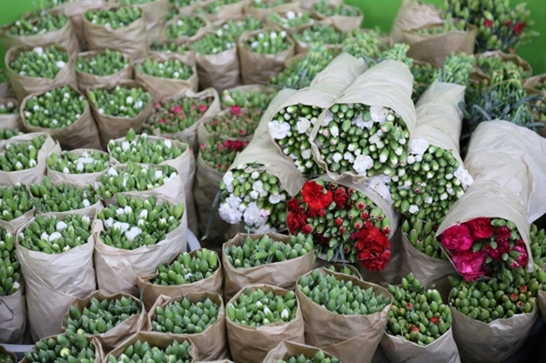 Foto - Kraliçe Elizabeth için Türkiye'den gönderildi