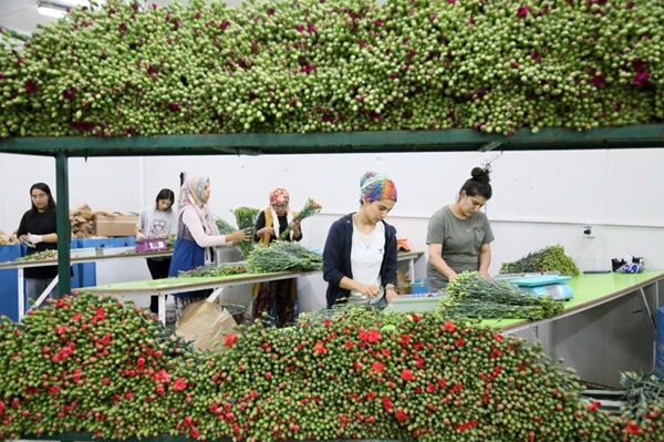 Foto - Kraliçe Elizabeth için Türkiye'den gönderildi