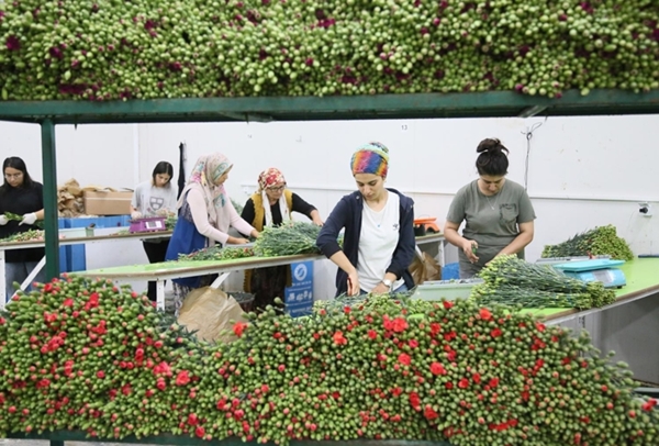 Foto - Kraliçe Elizabeth için Türkiye'den gönderildi