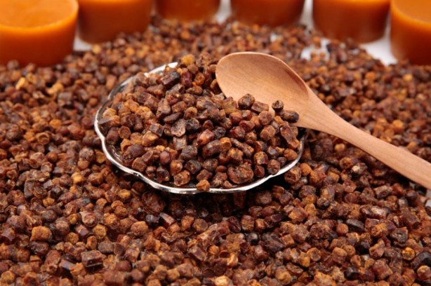 Foto - Krallara parmaklarını yediren besin! Faydaları saymakla bitmiyor! Kaldırımın kenarında bile yetişiyor