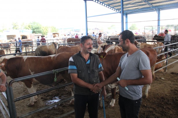 Foto - Kredi kartıyla kurban kesilir mi? Diyanet'ten açıklama geldi