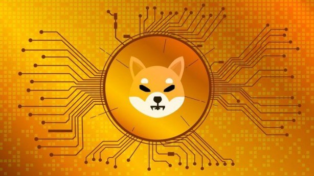 Foto - Kripto para piyasalarının tepetaklak olmasını fırsat bildi! Dikkat çeken 'Bitcoin' hamlesi