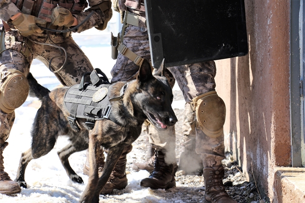 Foto - Kritik operasyonlara böyle hazırlanıyorlar... Dünyada sadece 3 tane var