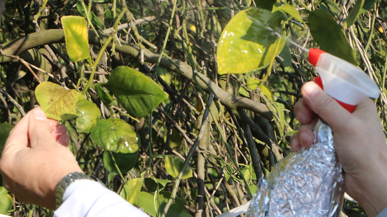 Foto - Kronik soruna çözüm geliştirildi! Türkiye'ye artık yılda 3 milyar dolar zarar etmeyecek