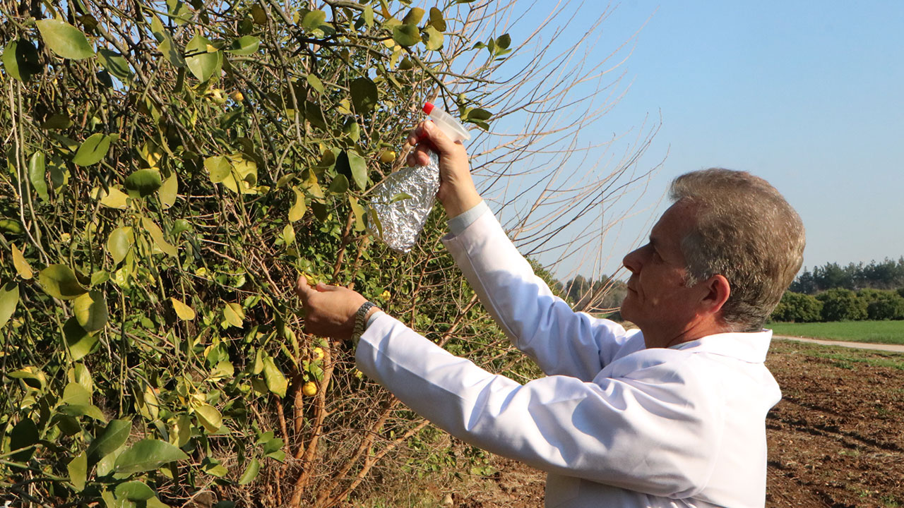 Foto - Kronik soruna çözüm geliştirildi! Türkiye'ye artık yılda 3 milyar dolar zarar etmeyecek