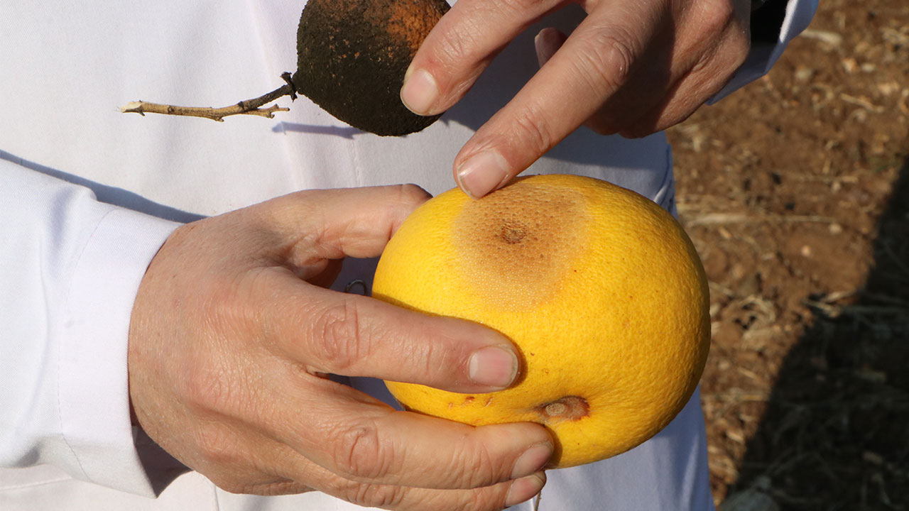 Foto - Kronik soruna çözüm geliştirildi! Türkiye'ye artık yılda 3 milyar dolar zarar etmeyecek