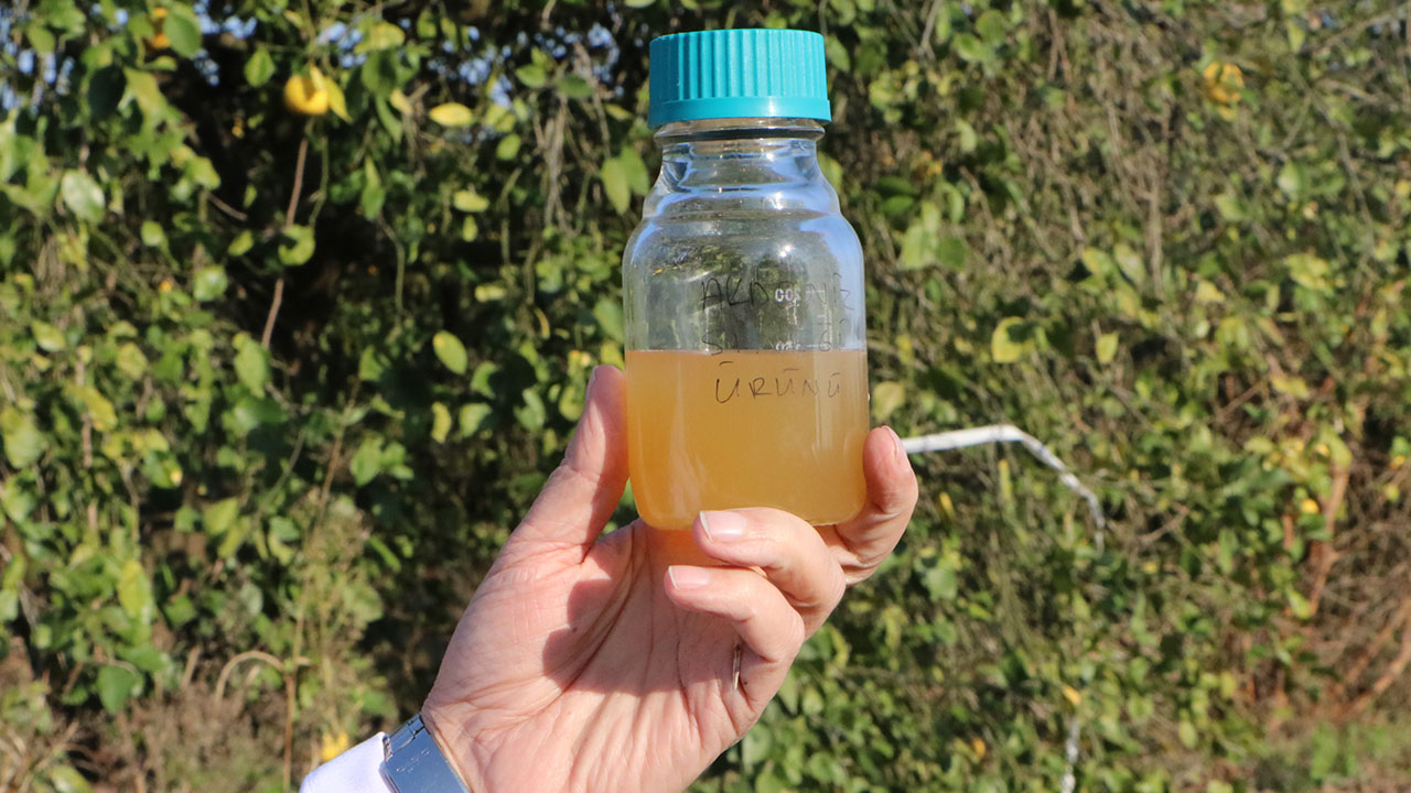 Foto - Kronik soruna çözüm geliştirildi! Türkiye'ye artık yılda 3 milyar dolar zarar etmeyecek