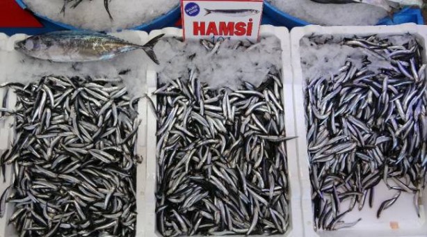 Foto - Küçük balıklar için önemli uyarı!