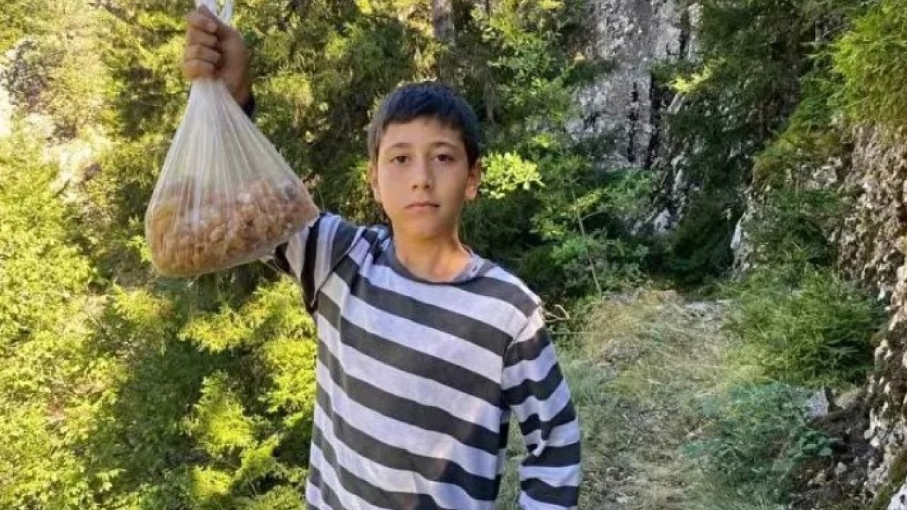 Foto - Küçük çocuk ormanda maden buldu: Şimdi kilosunu 5 bin liradan satıyor!