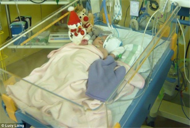 Foto - Küçük kızın büyük cesareti